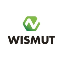 Wismut GmbH logo - Similar company to Technical University Of Applied Sciences Würzburg-Schweinfurt (Thws)