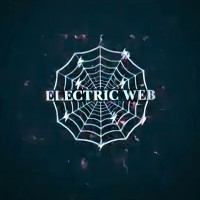 ElectricWeb (ACDC Electric Infrastructure Private Limited) logo - Similar company to Electricweb India
