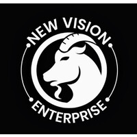 NEW Vision Enterprises logo - Similar company to Pm