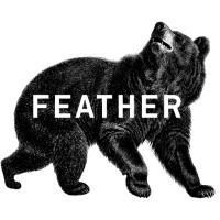FEATHER logo - Similar company to Group 793 Inc.