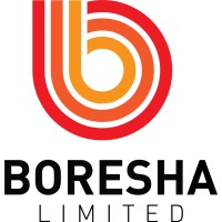 Boresha Limited logo - Similar company to Daystar Information Technology Association (Dita)