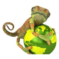 Chameleon School of Construction Ltd logo - Similar company to Masterclass Group Limited