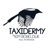 Taxidermy Kim Bobeldijk logo - Similar company to Karoo Taxidermy