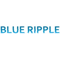 Blue Ripple logo - Similar company to Assurtech