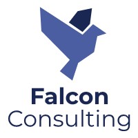 Falconconsulting logo - Similar company to Dr Jay