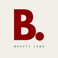 B.RAIDIANT logo - Similar company to Palmplug