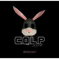 CQLP logo - Similar company to Pixnet Control