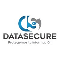 DATASECURE logo - Similar company to Datasecure Inc
