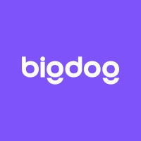 Bigdog Social logo - Similar company to Ilecsys Ltd
