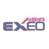 EXEO ASIA COMPANY LIMITED logo - Similar company to Digital Solution International Co., Ltd. (Dsc)