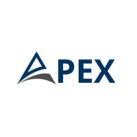 Apex SpA logo - Similar company to Automatizaml