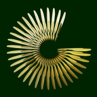 Goldhawk Partners logo - Similar company to Bliss Partners