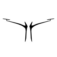 DRONESCAN logo - Similar company to Dronescan