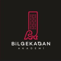 Bilge Kağan Akademi logo - Similar company to Aythink Gelişim