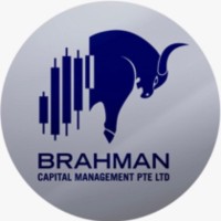 Brahman Capital Management Pte Ltd logo - Similar company to Longtail Ux
