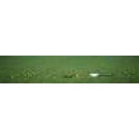 Mohican Hills Golf Club
