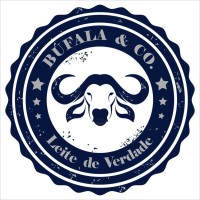 Búfala & Co. logo - Similar company to Búfala Almeida Prado