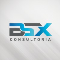 BSX Consultoria logo - Similar company to Dplus Technologies