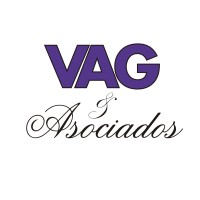 VAG y Asociados logo - Similar company to Vag