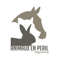Animaux en Péril logo - Similar company to Sans Collier Asbl