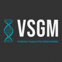 VSGM Group logo - Similar company to Vsgm