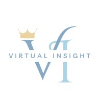 Virtual Insight | VA Services logo - Similar company to Natural Born Coaches