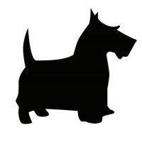 Great Scott Social Media