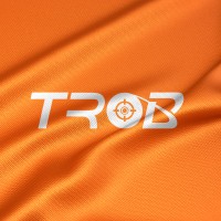 TROB Transportes logo - Similar company to Working10