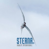 STERNA International Mobility logo - Similar company to Sterna Security Devices Private Limited