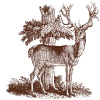 Stag's Leap Wine Cellars logo - Similar company to Opus One Winery Llc