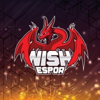 Nish ESpor logo - Similar company to Optimigg