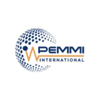 Pemmi International Electromechanical LLC logo - Similar company to Utility Turnaround