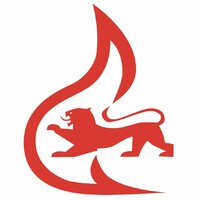 Freiwillige Feuerwehr Tuttlingen logo - Similar company to International Business School Tuttlingen (Ibst)