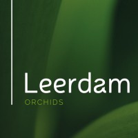 Leerdam Orchids logo - Similar company to Mcbeans Orchids