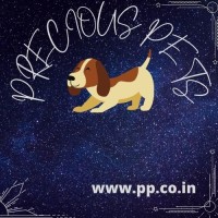 lavanya sanker's page logo - Similar company to Rapid Hack