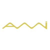 AMI Business Ventures logo - Similar company to Ami It Infosec Solutions