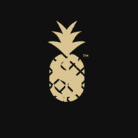 The Million Dollar Pineapple™ logo - Similar company to Molo9™