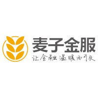 Wheat Financial logo - Similar company to Fintheon