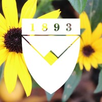 Writtle Landscape Architecture and Garden Design logo - Similar company to Landscape Concepts