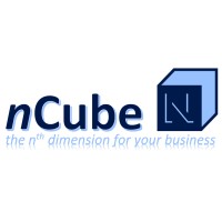 nCube InfoTech logo - Similar company to Auction Warehouse