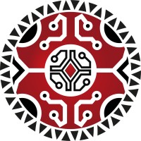 Digital Techno.Net logo - Similar company to Oceania Customs Organisation