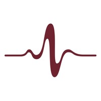 Peizer ehf logo - Similar company to Star Laser Technology