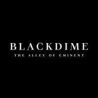 BLACKDIME INTERNATIONAL logo - Similar company to Enspyire Consulting