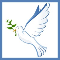 Abraham Institute logo - Similar company to Ujeb - United Jewish Education Board