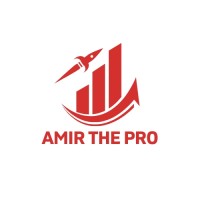 Amir The Pro logo - Similar company to Flowdezign