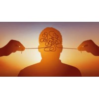Mental Health Coach logo - Similar company to Bb Wellness