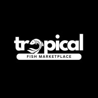 Tropical Fish Marketplace logo - Similar company to Valdez Engineering Ltd.