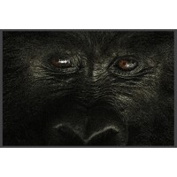 Safari Skies logo - Similar company to Nomads Wild 觉牧
