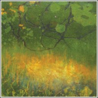 Landscapes Of Place, Llc