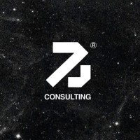 Bravex Consulting logo - Similar company to Work Permit Solutions